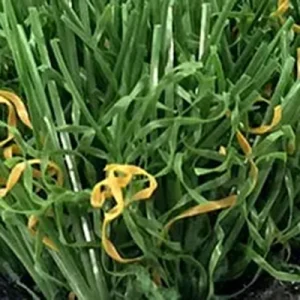 74® Artificial Turf – Soft Green Lawn Texture for Landscaping